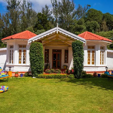 Gostops Ooty-2